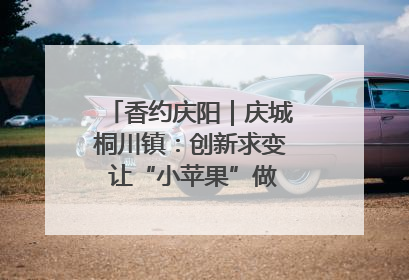 香约庆阳｜庆城桐川镇：创新求变 让“小苹果”做成“大产业”