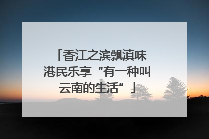 香江之滨飘滇味 港民乐享“有一种叫云南的生活”