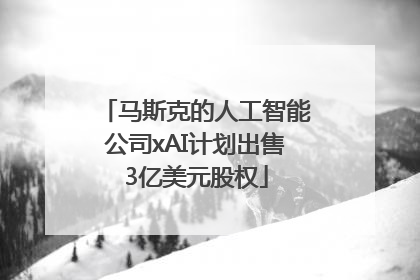 马斯克的人工智能公司xAI计划出售3亿美元股权