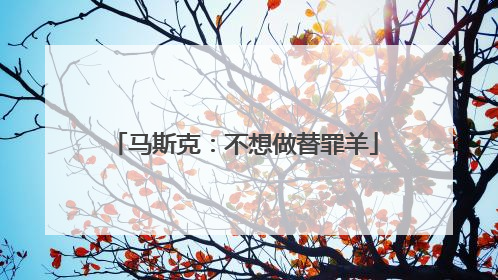 马斯克：不想做替罪羊