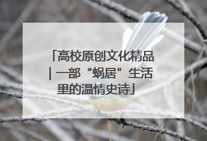 高校原创文化精品｜一部“蜗居”生活里的温情史诗