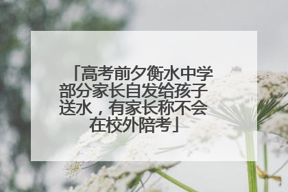 高考前夕衡水中学部分家长自发给孩子送水，有家长称不会在校外陪考