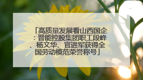 高质量发展看山西国企：晋能控股集团职工段峰、杨文华、官进军获得全国劳动模范荣誉称号