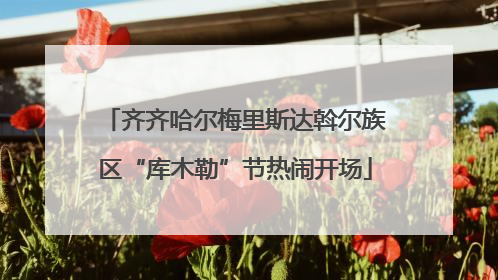 齐齐哈尔梅里斯达斡尔族区“库木勒”节热闹开场