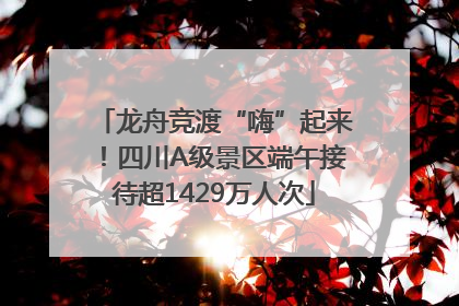 龙舟竞渡“嗨”起来！四川A级景区端午接待超1429万人次