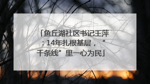 鱼丘湖社区书记王萍：14年扎根基层，“千条线”里一心为民