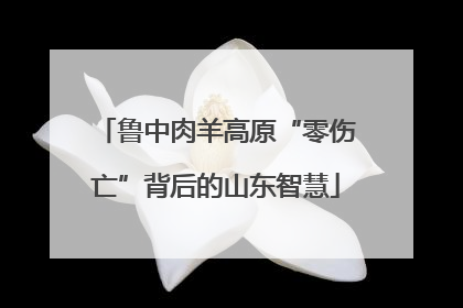 鲁中肉羊高原“零伤亡”背后的山东智慧