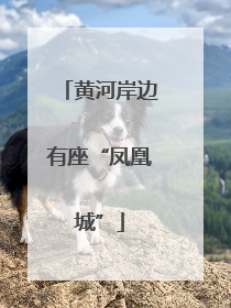 黄河岸边有座“凤凰城”
