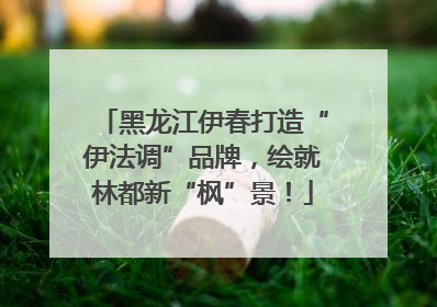 黑龙江伊春打造“伊法调”品牌，绘就林都新“枫”景！