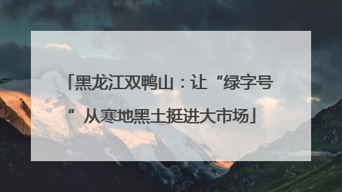 黑龙江双鸭山：让“绿字号”从寒地黑土挺进大市场