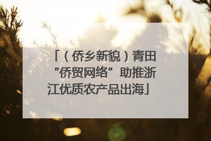 （侨乡新貌）青田“侨贸网络”助推浙江优质农产品出海
