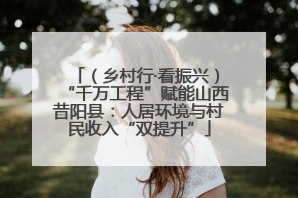 （乡村行·看振兴）“千万工程”赋能山西昔阳县：人居环境与村民收入“双提升”