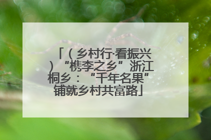 （乡村行·看振兴）“槜李之乡”浙江桐乡：“千年名果”铺就乡村共富路