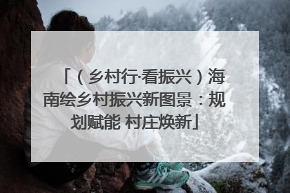 （乡村行·看振兴）海南绘乡村振兴新图景：规划赋能 村庄焕新