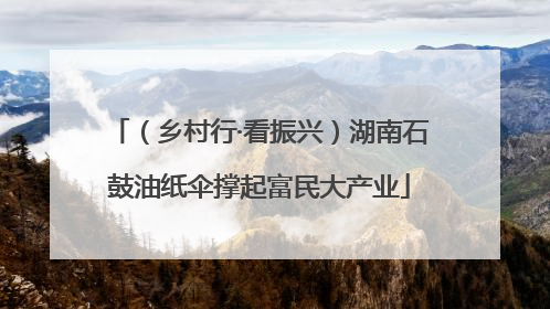 （乡村行·看振兴）湖南石鼓油纸伞撑起富民大产业