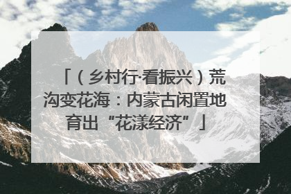 （乡村行·看振兴）荒沟变花海：内蒙古闲置地育出“花漾经济”