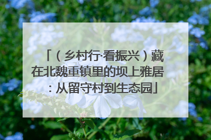（乡村行·看振兴）藏在北魏重镇里的坝上雅居：从留守村到生态园