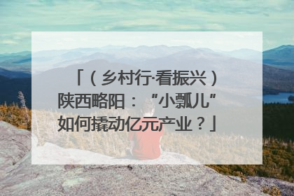 （乡村行·看振兴）陕西略阳：“小瓢儿”如何撬动亿元产业？