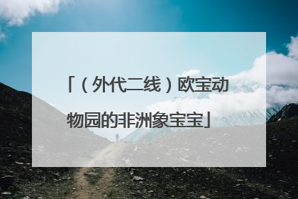 （外代二线）欧宝动物园的非洲象宝宝