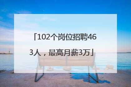 102个岗位招聘463人，最高月薪3万
