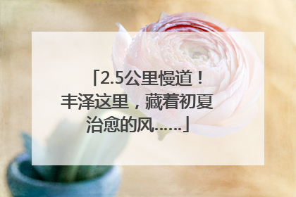 2.5公里慢道！丰泽这里，藏着初夏治愈的风……