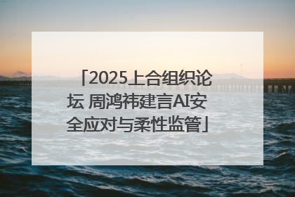 2025上合组织论坛 周鸿祎建言AI安全应对与柔性监管