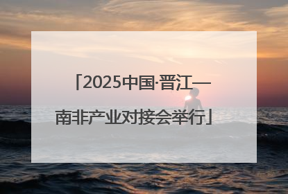 2025中国·晋江—南非产业对接会举行