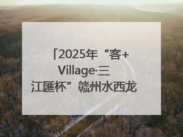 2025年“客+Village·三江匯杯”赣州水西龙舟文化节圆满落幕