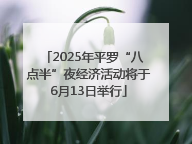 2025年平罗“八点半”夜经济活动将于6月13日举行