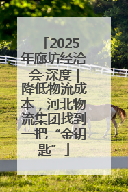 2025年廊坊经洽会·深度｜降低物流成本，河北物流集团找到一把“金钥匙”