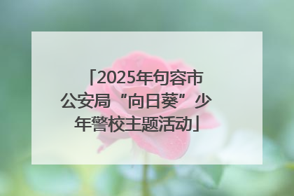 2025年句容市公安局“向日葵”少年警校主题活动