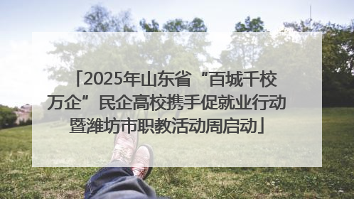 2025年山东省“百城千校万企”民企高校携手促就业行动暨潍坊市职教活动周启动