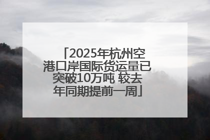 2025年杭州空港口岸国际货运量已突破10万吨 较去年同期提前一周