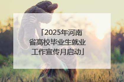2025年河南省高校毕业生就业工作宣传月启动