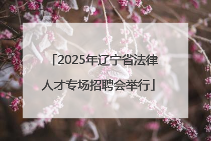 2025年辽宁省法律人才专场招聘会举行