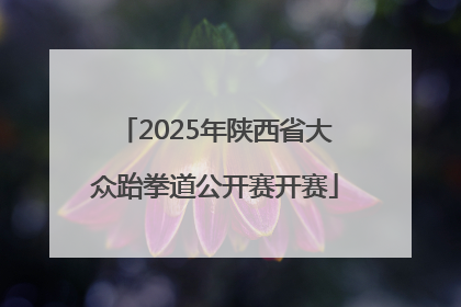 2025年陕西省大众跆拳道公开赛开赛