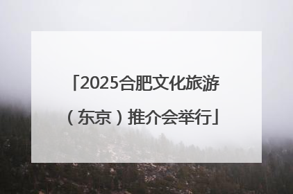 2025合肥文化旅游（东京）推介会举行