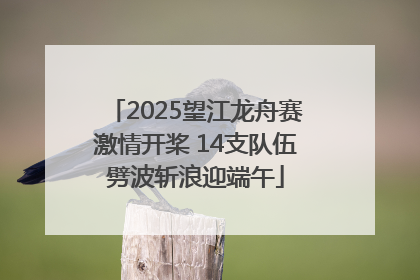 2025望江龙舟赛激情开桨 14支队伍劈波斩浪迎端午