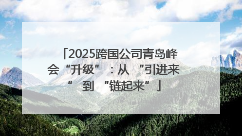 2025跨国公司青岛峰会“升级”：从 “引进来” 到 “链起来”