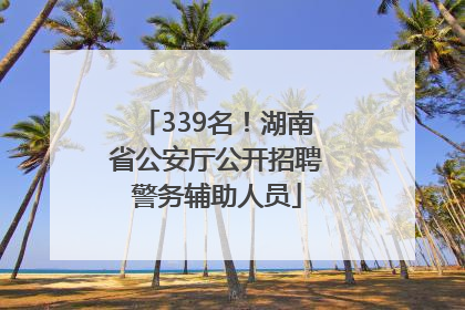 339名！湖南省公安厅公开招聘警务辅助人员