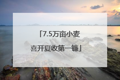 7.5万亩小麦喜开夏收第一镰