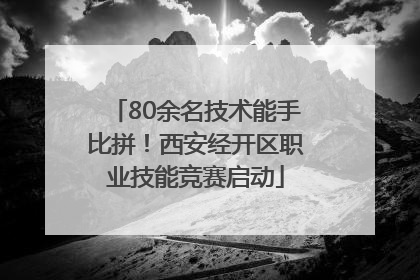 80余名技术能手比拼！西安经开区职业技能竞赛启动