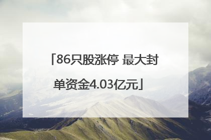 86只股涨停 最大封单资金4.03亿元