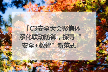 C3安全大会聚焦体系化联动防御，探寻“安全+数智”新范式